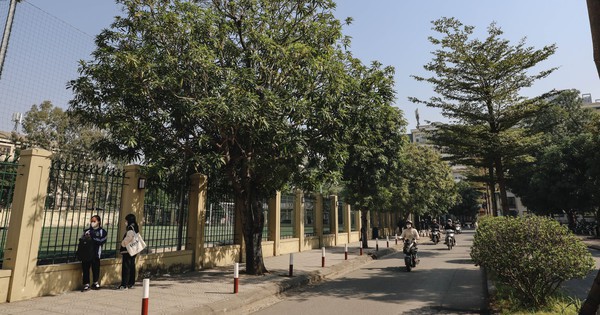 Có một ngôi trường, nếu đủ duyên và nỗ lực, bạn có thể gắn bó từ lớp 6 đến... tiến sĩ: Nghe khó tin nhưng có thật!