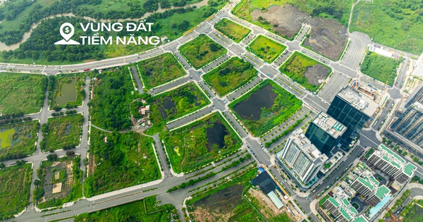 Khu vực toàn cỏ với hồ nước, có thể biến thành vùng lõi của trung tâm tài chính 7 tỷ USD ở TP.HCM
