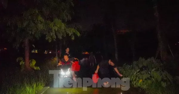Công viên thành sông sau mưa, người Hà Nội bì bõm bắt cá giữa đêm