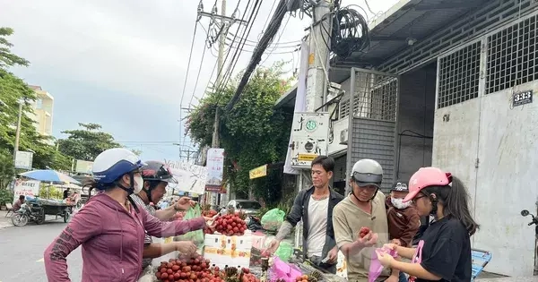 Vải thiều đại hạ giá tại TPHCM