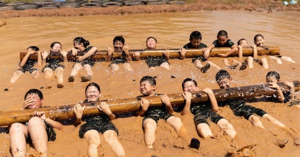 Bắt hiệu trưởng một trại hè, giấy phép là công ty du lịch không có hoạt động giáo dục và đào tạo