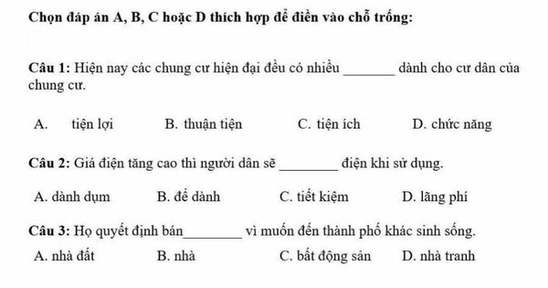 Làm đề thi tiếng Việt cho người nước ngoài, dân bản xứ tự hoài nghi khả năng dùng tiếng mẹ đẻ của mình
