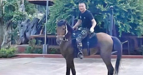 Vi 'ngộ' – từ kẻ có bệnh án tâm thần đến ông trùm thế giới ngầm