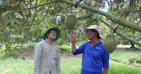 Loạt dự án chiến lược ở Tây Ninh được chấp thuận chủ trương đầu tư