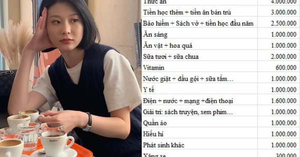 Bảng chi tiêu trị giá 22 triệu đồng bị chê tơi tả