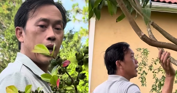 Hoài Linh thăm vườn biệt thự vài trăm m2 tại Mỹ, em trai nói: "Khác gì ở Việt Nam đâu"