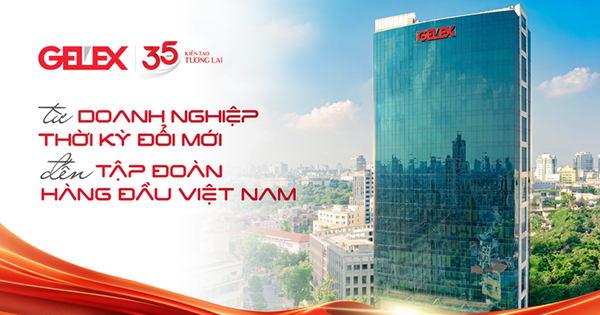 GELEX: Từ doanh nghiệp thời kỳ Đổi Mới đến Tập đoàn hàng đầu Việt Nam