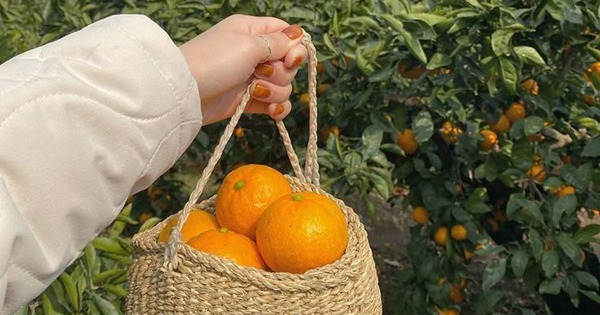 5 cách tiết kiệm tiền của mẹ, con cái cho là lỗi thời nhưng cả đời không khá lên nổi vì "cãi lời"