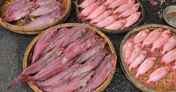 Đà Nẵng: Ban quản lý chợ Cẩm Lệ nói gì về phản ánh cá biển có màu bất thường?