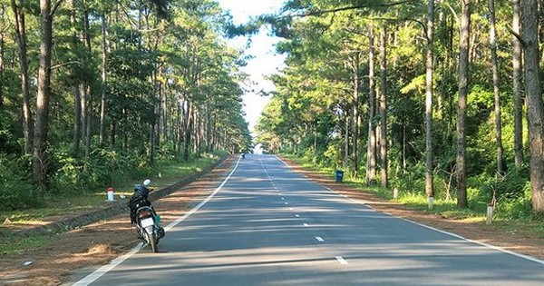 Quảng Ngãi sẵn sàng làm cao tốc, sân bay Lý Sơn, Măng Đen