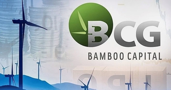 Động thái mới nhất của Bamboo Capital