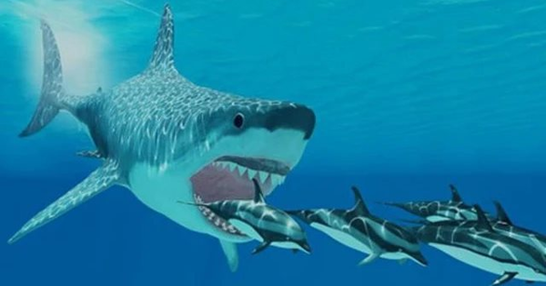 P-Notes - dòng tiền đang ồ ạt gom hàng nghìn tỷ đồng cổ phiếu Việt Nam?