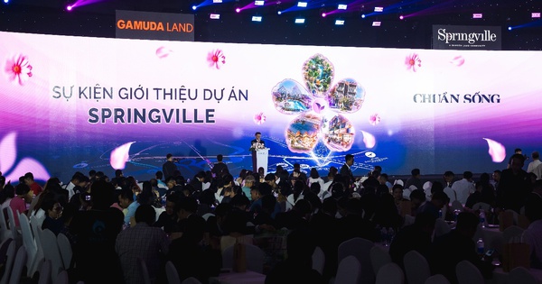 97% sản phẩm nhà phố của Springville được “quét sạch” khi vừa ra mắt