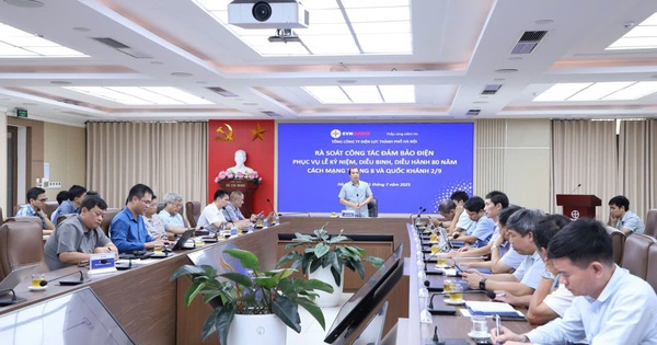 Bảo đảm cung cấp điện an toàn, ổn định cho dịp kỷ niệm 80 năm Cách mạng Tháng Tám và Quốc khánh 2/9