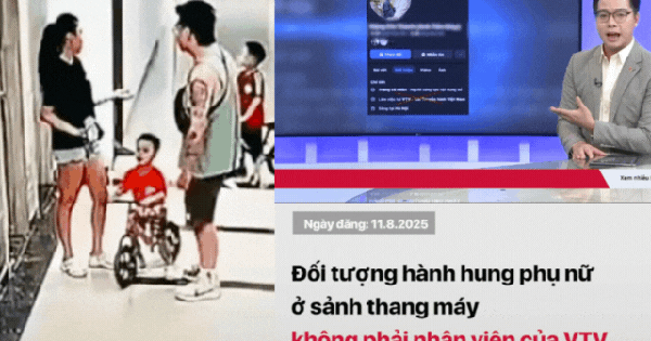 VTV bác tin kẻ đánh người phụ nữ ở chung cư Hà Nội là nhân viên của Đài truyền hình Việt Nam