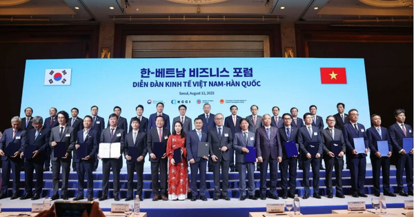 CMC và Samsung C&T ký MOU hợp tác phát triển trung tâm dữ liệu siêu quy mô, tổng vốn 1 tỷ USD