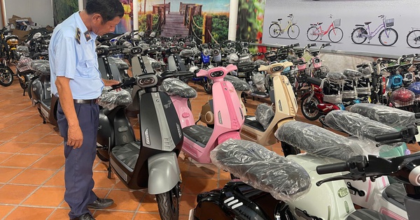 "Đột kích" từ manh mối trên mạng: Quản lý thị trường phát hiện 2 hộ kinh doanh xe đạp điện mập mờ nguồn gốc, trong đó 1 hộ "qua mặt" cơ quan thuế