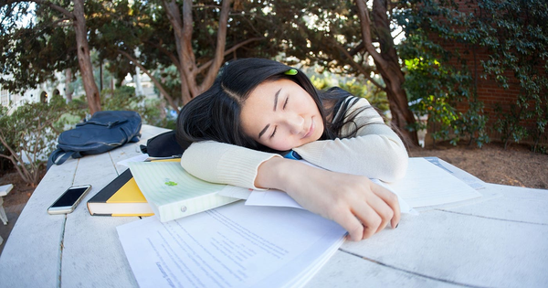 Nghiên cứu hơn 1.100 người chỉ ra: Ngủ trưa trong khoảng thời gian này có lợi nhất, vừa tốt cho não, vừa kéo dài tuổi thọ