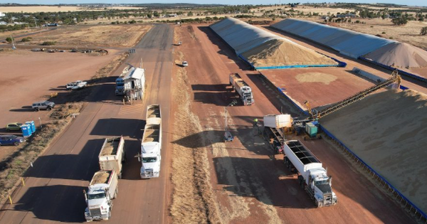 Mỹ, Canada đua nhau gửi một loại ‘báu vật’ vào Việt Nam với giá siêu rẻ: Thuế nhập khẩu 0%, nước ta tiêu thụ đứng thứ 3 thế giới