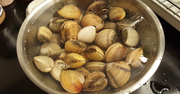 Rửa ngao kiểu gì cũng không hết bùn cát? Đầu bếp hàng đầu mách ngâm ngao với 2 thứ, đảm bảo sạch bất ngờ