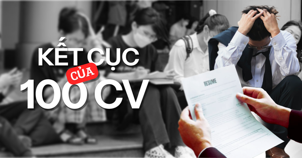 Nam sinh 2k3 rải 100 CV xin việc nhưng chỉ 10 chỗ phản hồi: Học trường top, biết 2 ngoại ngữ mà còn thế này...