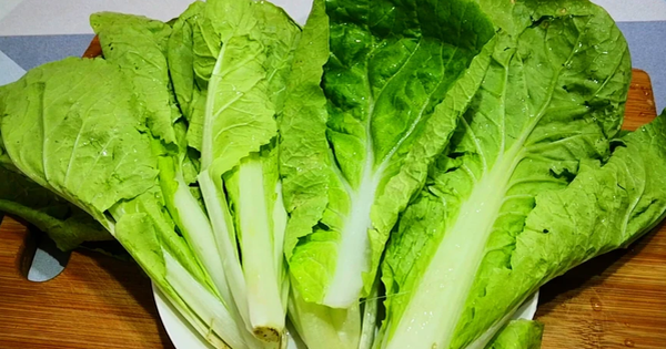 4 loại rau cực hút sâu, dễ bị phun đẫm thuốc trừ sâu, nhưng nhiều người mê tít