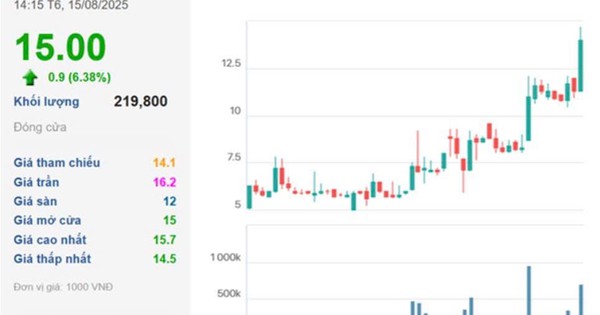 Cổ phiếu tăng gấp đôi từ đầu năm, Tập đoàn MCST (ALV) chuẩn bị trả cổ tức tỷ lệ 70%