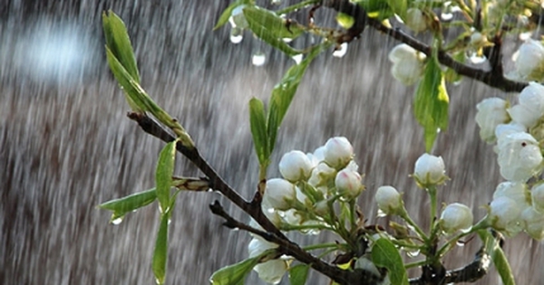 Dự báo thời tiết 10 ngày: Áp thấp nhiệt đới vào vịnh Bắc Bộ, cả nước mưa kéo dài