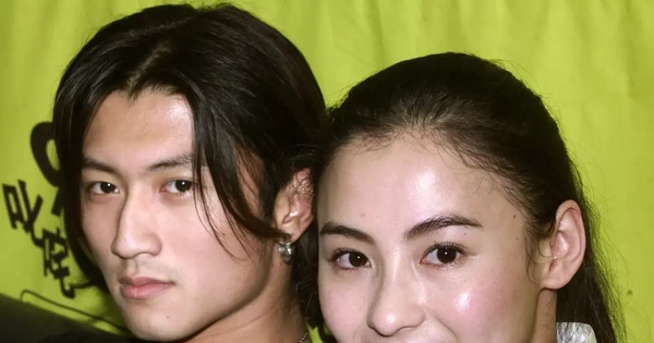 Lý do Tạ Đình Phong và Trương Bá Chi ly hôn