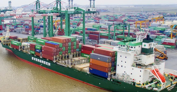 HoSE yêu cầu Viconship giải trình việc cổ phiếu VSC tăng trần 5 phiên liên tiếp