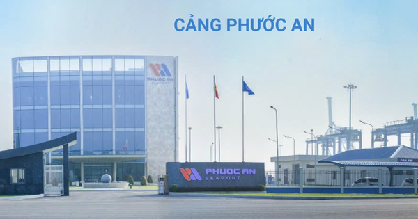 Một công ty cảng có lãnh đạo GenZ sinh năm 2002