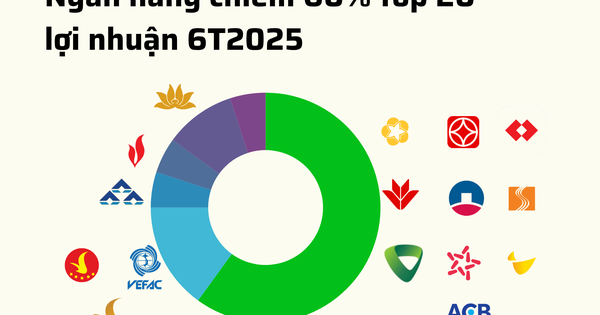20 doanh nghiệp niêm yết lãi lớn nhất 6T2025: 60% là ngân hàng, 15% là bất động sản, chỉ có 1 DN sản xuất