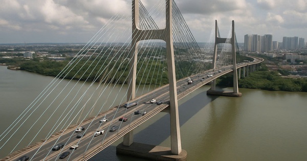 Tp.HCM và Đồng Nai đón tin vui