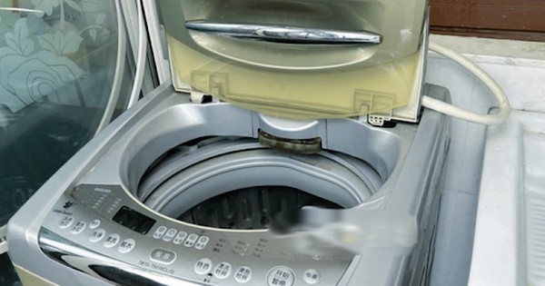 Nên mở hay đóng cửa máy giặt khi không dùng: Hóa ra bấy lâu nay nhiều người vẫn hiểu lầm