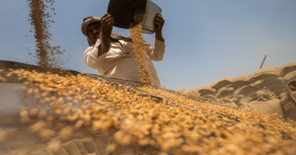 Mỹ - Nga đang đua nhau đưa một loại ‘báu vật' quan trọng vào Việt Nam: Thuế nhập khẩu 0%, nước ta đứng top ‘cá mập’ tiêu thụ của thế giới