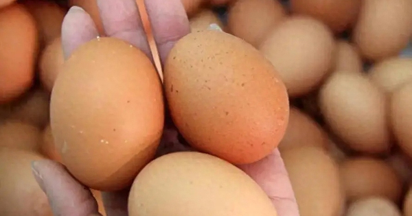 Ăn trứng kiểu này sẽ gây hại cơ thể