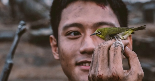 Hiện tượng "Mưa đỏ" là gì mà khiến hàng triệu người háo hức chờ xem?