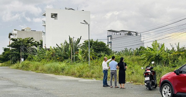 Đất nền và nhà phố riêng lẻ tại Tp.HCM sẽ chuyển động thế nào sau sáp nhập?