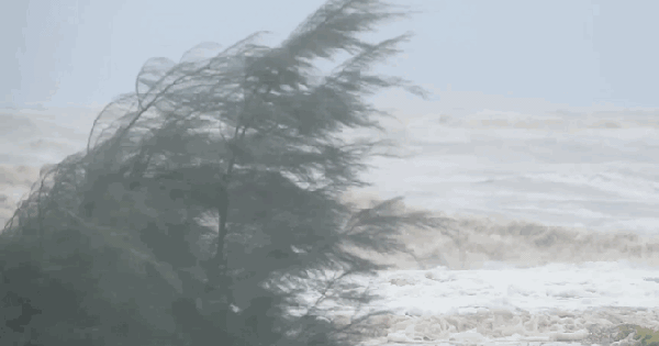 Bão số 5 đổ bộ vào Nam Nghệ An - Bắc Hà Tĩnh