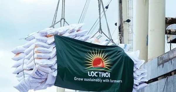 Cổ đông Lộc Trời không chấp nhận kế hoạch lỗ 500 tỷ, không bầu bổ sung thành viên HĐQT