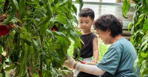 Ông bà có 3 điểm này con cháu vừa sinh ra đã đứng sẵn ở "vạch đích"