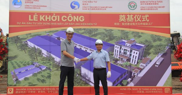 Damsan báo lãi bán niên gần 45 tỷ sau soát xét, triển khai loạt dự án trong tháng 8