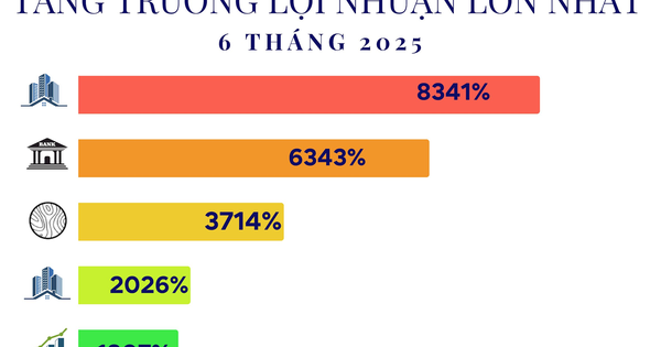 15 công ty tăng trưởng lợi nhuận 'khủng' nhất 6T2025: Đứng đầu là doanh nghiệp của tỷ phú Phạm Nhật Vượng, ngành điện góp mặt nhiều nhất