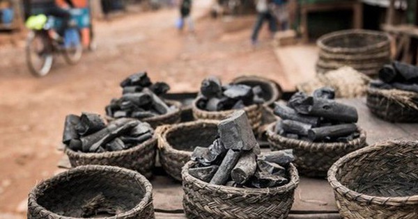 Nga đưa sang Việt Nam hàng triệu tấn 'vàng đen' với giá siêu rẻ: thuế nhập khẩu 5%, Moscow nắm trữ lượng đủ dùng trong 500 năm