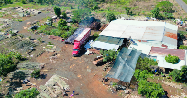 Hành trình nâng tầm vật liệu xanh với thương hiệu Tre Tầm Vông Đàm Phương