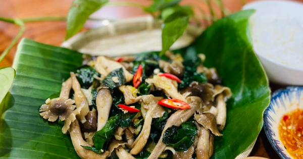 "Báu vật" mọc từ lòng đất giá bạc triệu còn khó mua, ở Việt Nam có nhiều vào mùa mưa: Điều hòa miễn dịch, ngăn ngừa ung thư