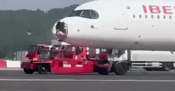 Hi hữu: Chim đâm vỡ mũi, máy bay phải quay đầu hạ cánh khẩn cấp