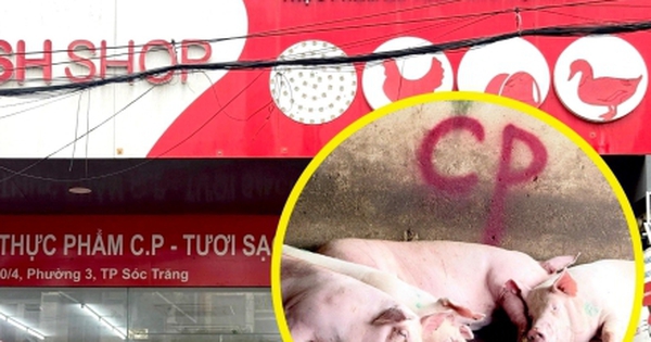 Công an triệu tập người tố Công ty C.P. Việt Nam bán thịt heo bệnh
