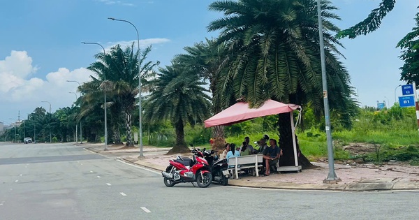 Giá đất nền Hà Nội, Hải Phòng, Quảng Ninh, TP.HCM, Đà Nẵng, Đồng Nai... đang diễn biến ra sao?