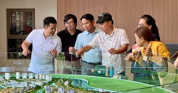 Ecopark, Nam Long, Vinhomes, Prodezi…. đồng loạt ra hàng, thị trường phía Tây Tp.HCM bùng nổ giao dịch